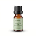 Eucalyptus Oil