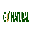 GO NATURAL PAKISTAN logo